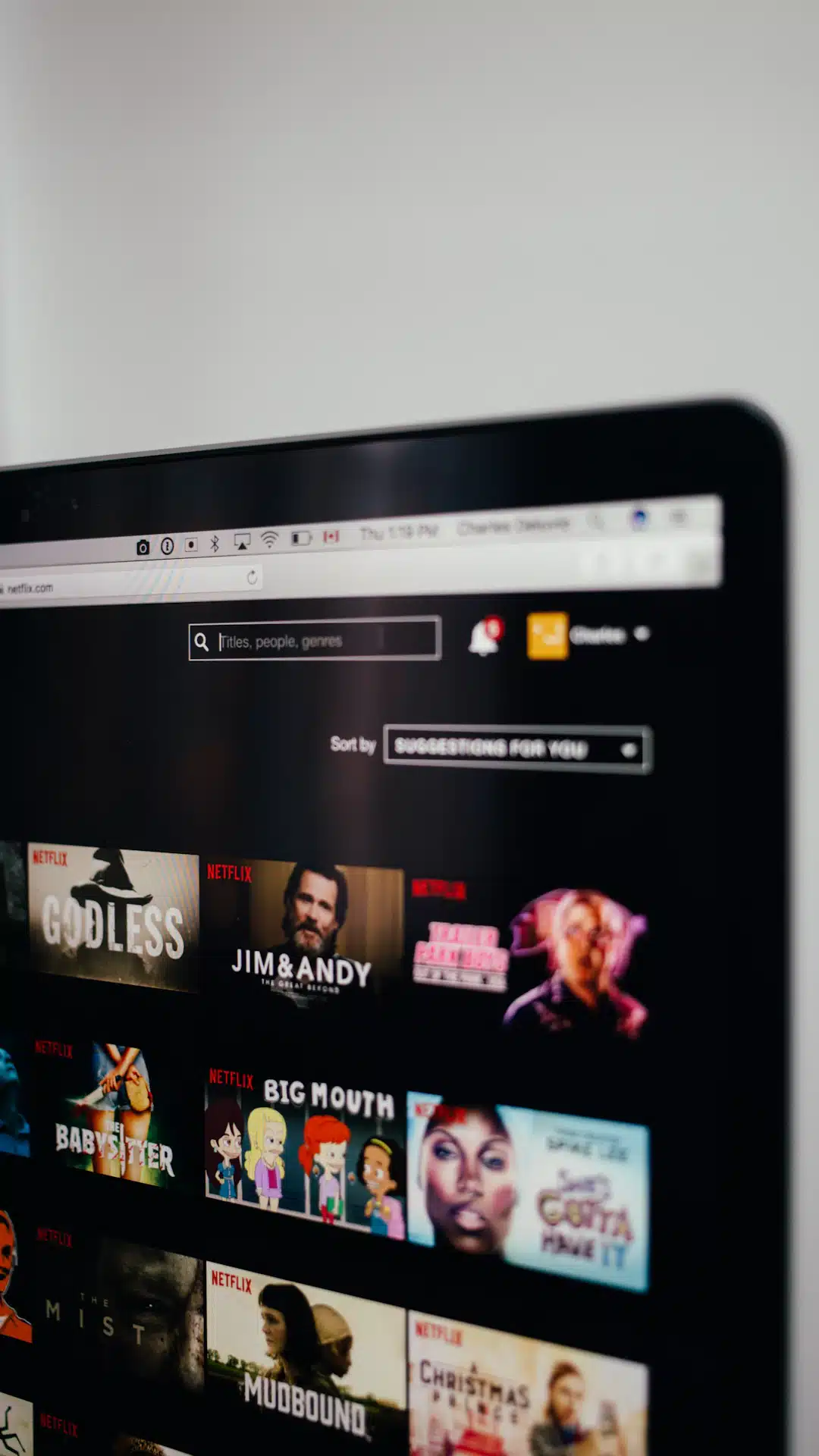 computer monitor showing Netflix selection screen